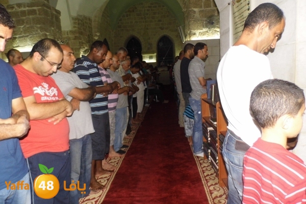 kaber trawe7 718 (20).JPG